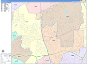 Round Rock  Wall Map Color Cast Style